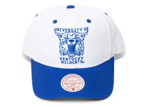 Mitchell & Ness NCAA Kentucky Wildcats Pro Crown Snapback Hat xld